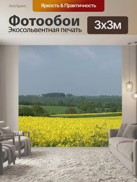 Фотообои Рапс