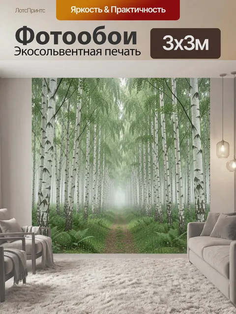 Фотообои Туманная березовая аллея в лесу
