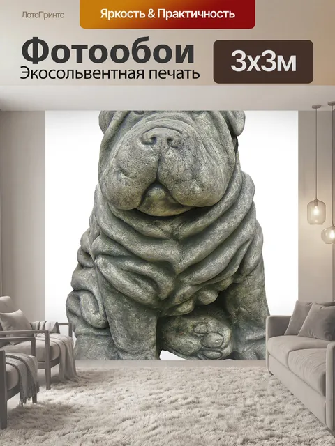 Фотообои Собака