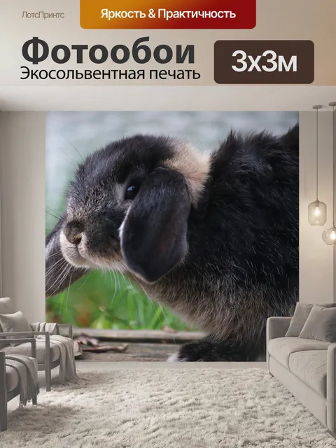 Фотообои Кролик