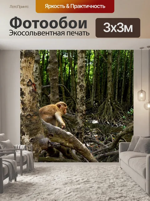 Фотообои Лес