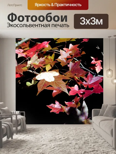 Фотообои Южно Цвет Падения