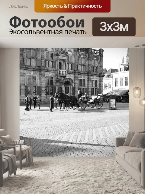 Фотообои Лошадь