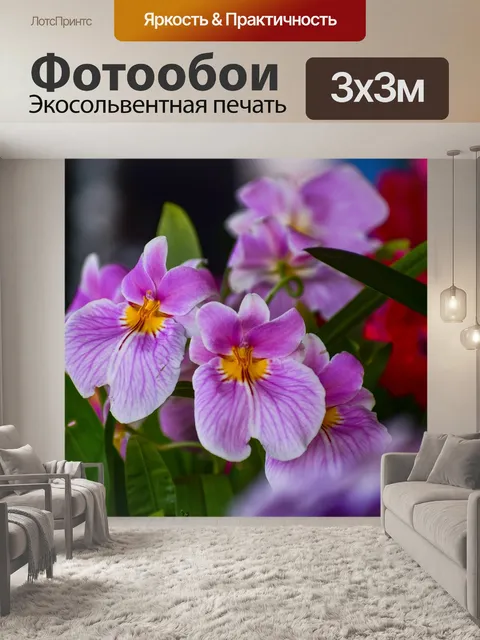 Фотообои Орхидеи