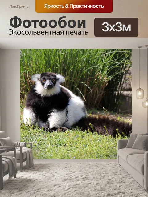 Фотообои Природа