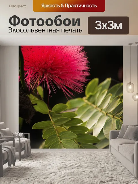 Фотообои Цветок