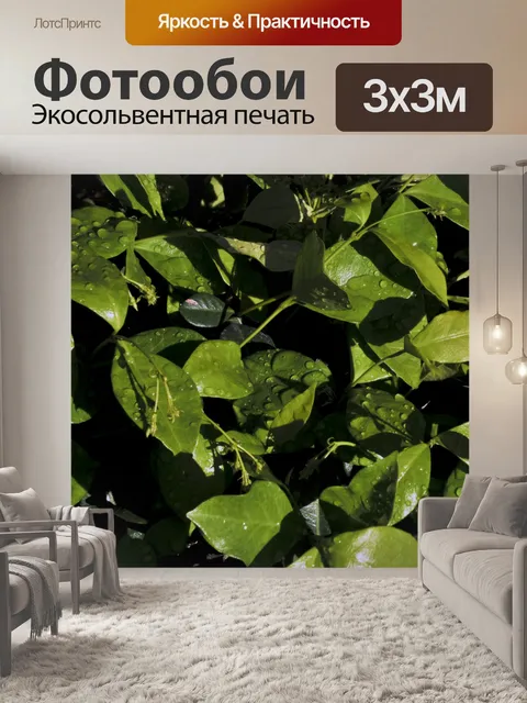 Фотообои Дьюи Зеленые листья фон