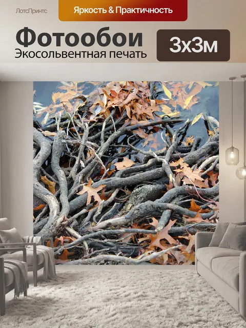 Фотообои Корень