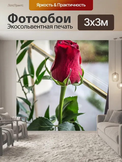 Фотообои Розы