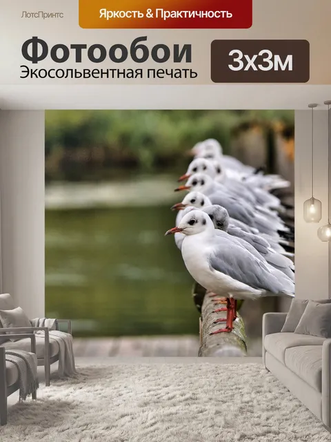 Фотообои Чайка