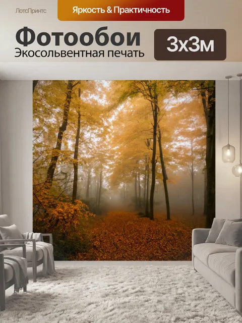 Фотообои осенний лес с густыми туманами и покрытыми золотыми листьями деревьями
