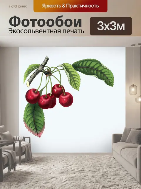 Фотообои Вишневый фрукт винтажный клипарт