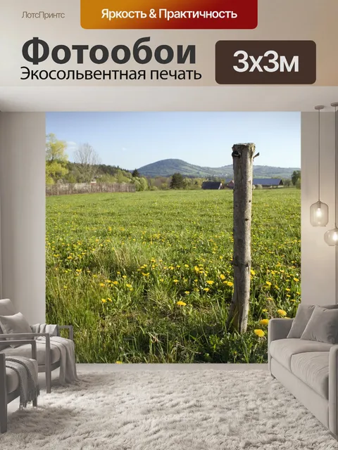 Фотообои Ставки