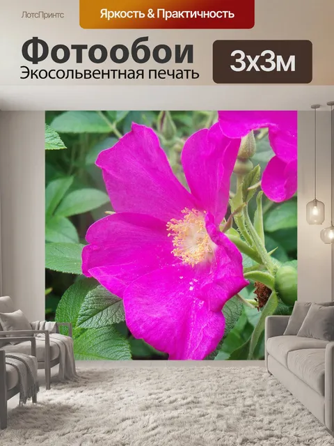 Фотообои Цветок