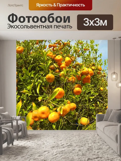 Фотообои Апельсиновое дерево