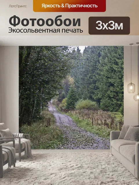 Фотообои Лес