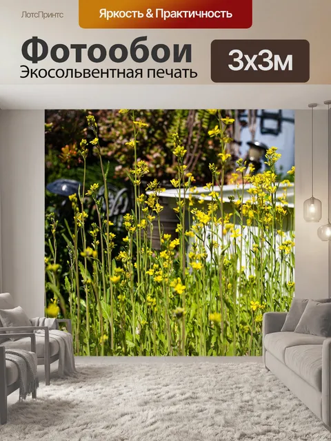 Фотообои Цветы