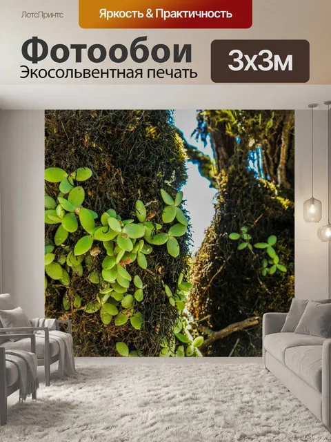 Фотообои Красивый водопад водопад Ко Луанг