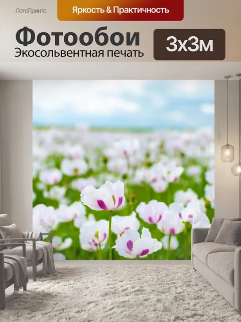 Фотообои Маки