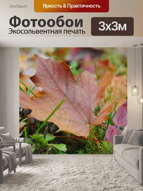 Фотообои Осенние листья