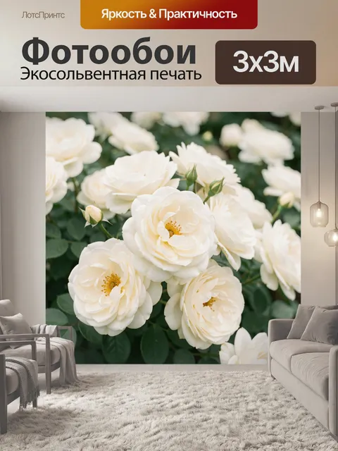 Фотообои Кремовые садовые розы крупным планом