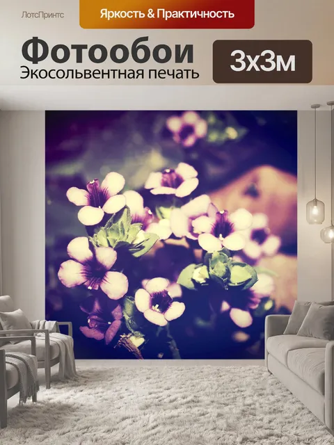 Фотообои Красивый цветок