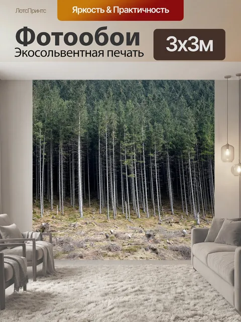 Фотообои Лес