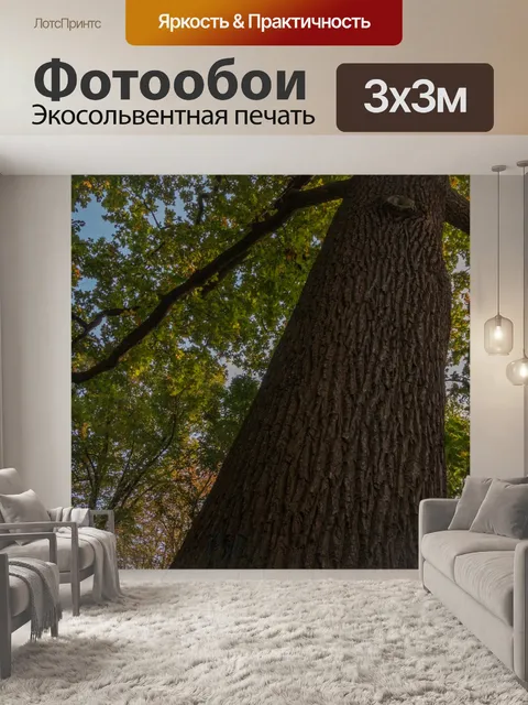 Фотообои Дерево