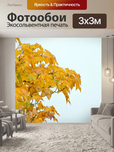 Фотообои осенних листьев