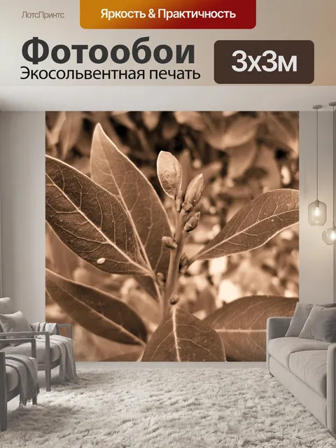 Фотообои сепия лавровый лист и почки