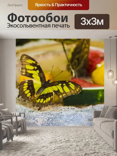 Фотообои Бабочка