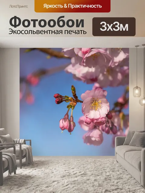 Фотообои Японская сакура