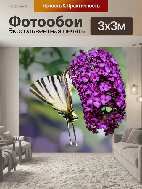 Фотообои Бабочка