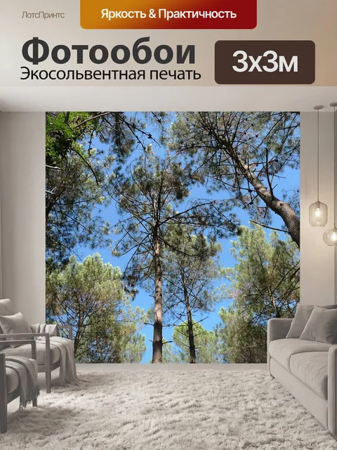 Фотообои Лес