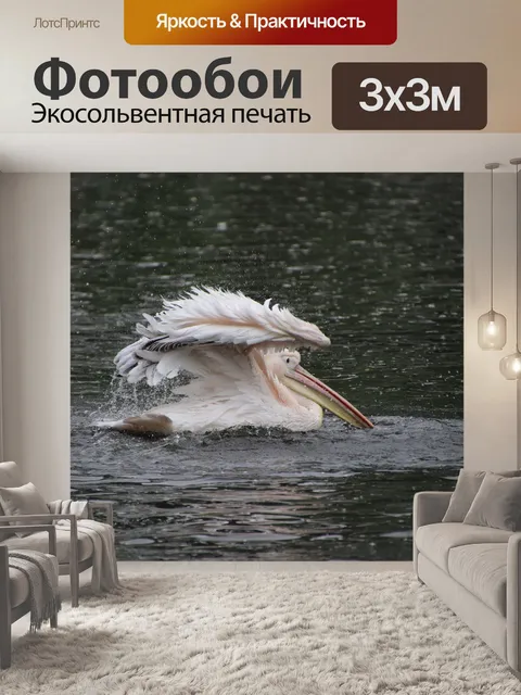 Фотообои Пеликан