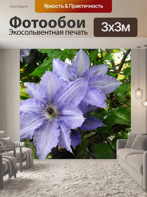 Фотообои Лиловый