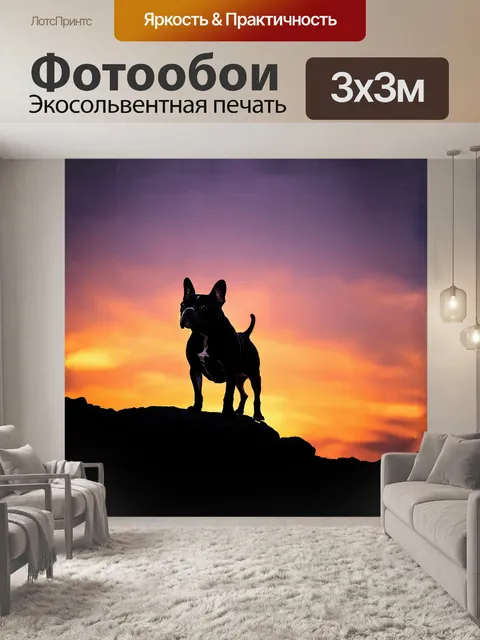Фотообои французский бульдог, стоящий на краю скалистого утеса, его силуэт контрастирует с ярким закатом на горизонте