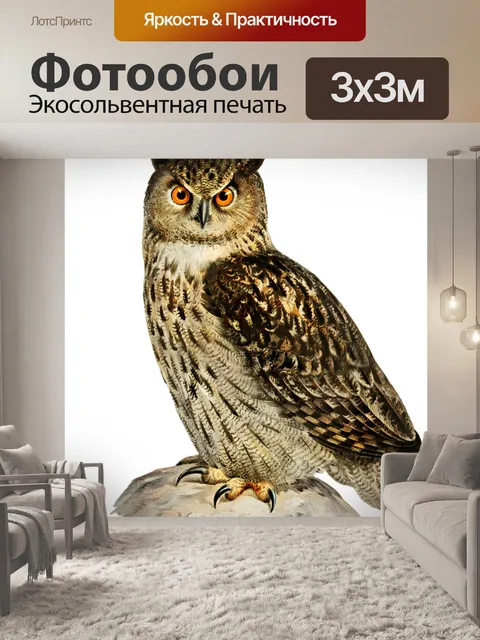 Фотообои Клипарт Owl eagle owl bird