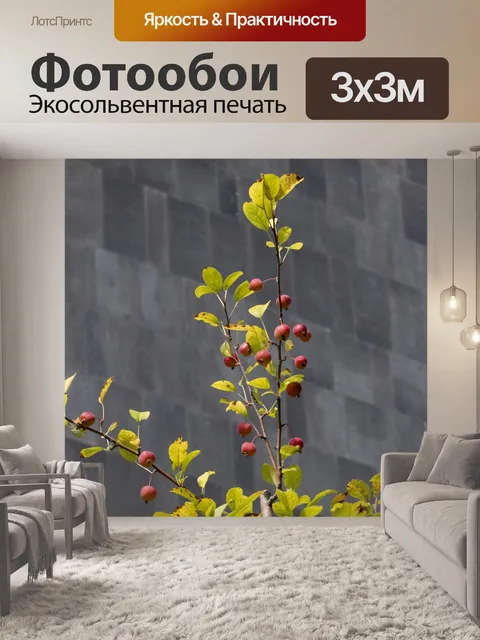 Фотообои Осень