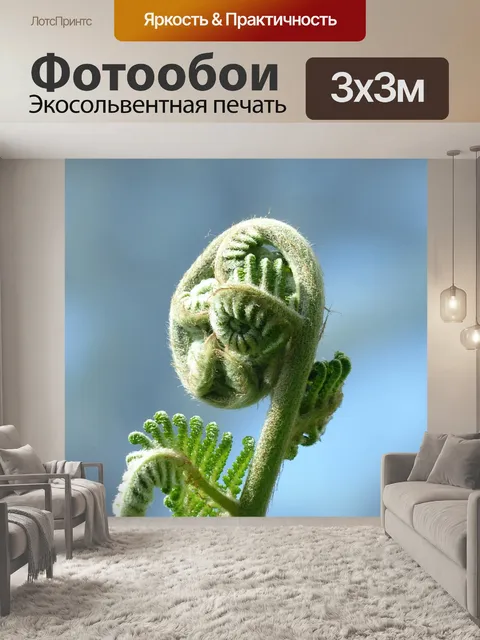 Фотообои Рост
