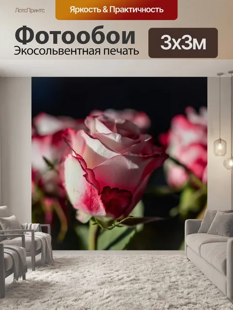 Фотообои Розы