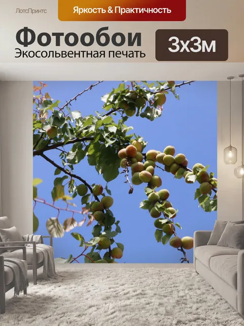 Фотообои Слива