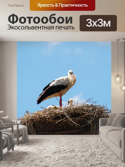 Фотообои Аист