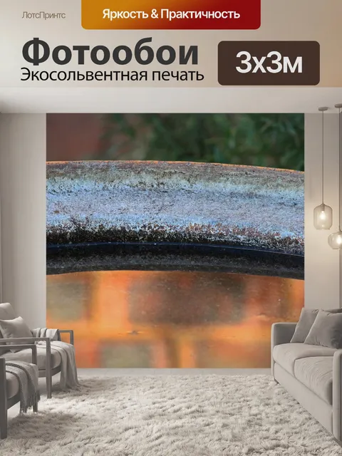 Фотообои отражение в воде купальни для птиц