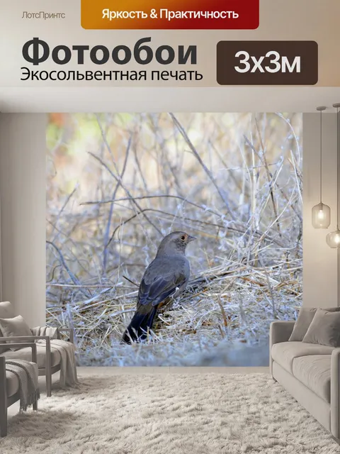 Фотообои Птица в траве