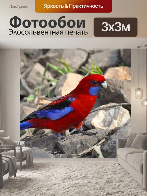Фотообои Багровый Rosella