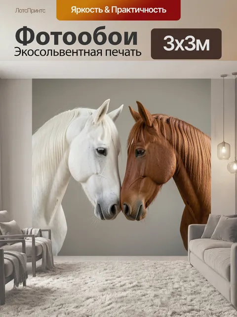 Фотообои Две лошади в нежном соприкосновении