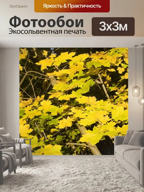 Фотообои Кленовые листья