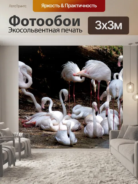 Фотообои Фламинго