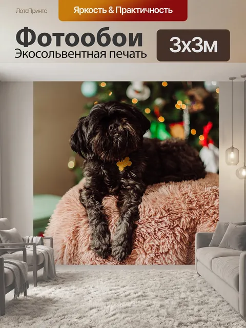 Фотообои Собака